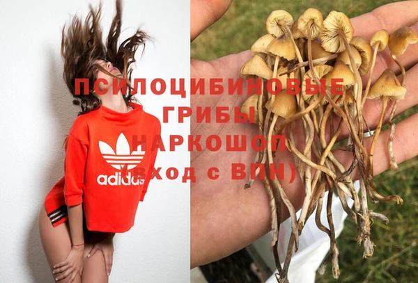 Альфа ПВП Алзамай
