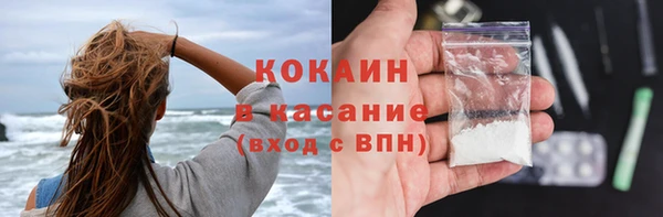 индика Алексеевка