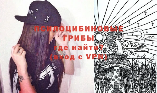индика Алексеевка