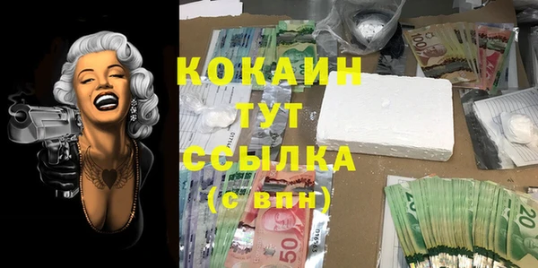 индика Алексеевка
