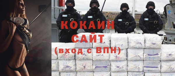 индика Алексеевка